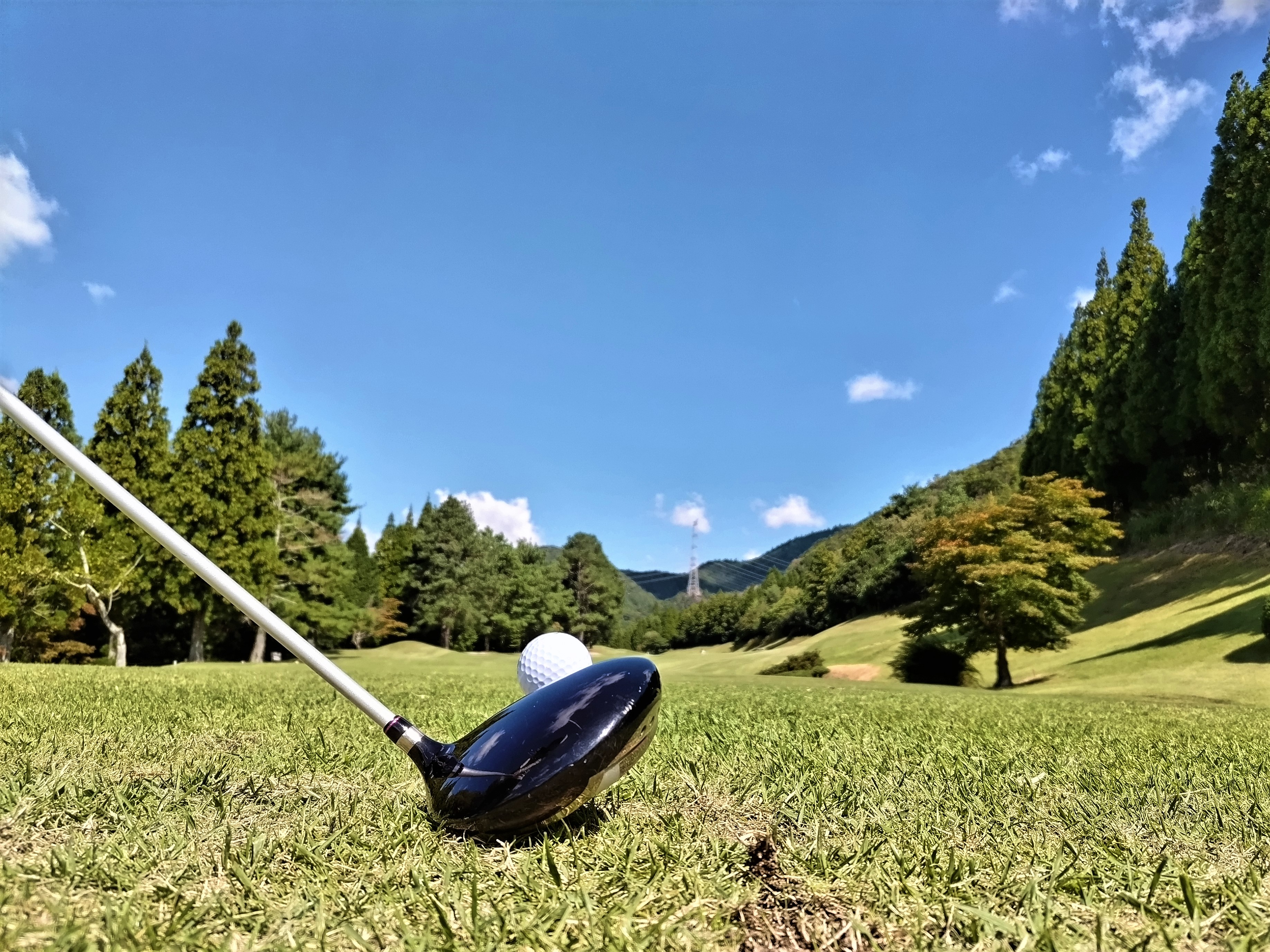 ゴルフドライバー 初心者おすすめ比較【2026年最新・打ちやすい7選】